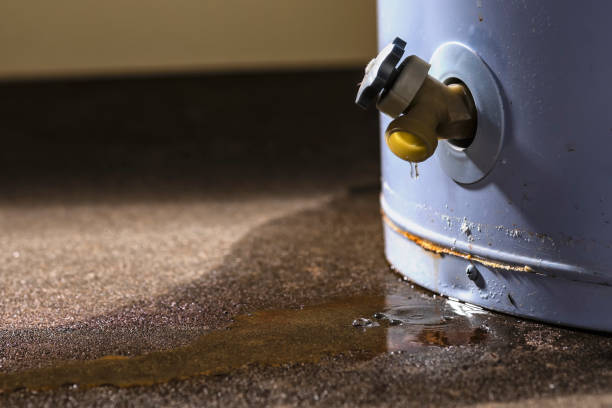 Best Basement water damage restoration  in Cold Spring, MN