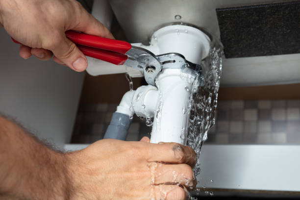 Best Local water damage restoration  in Cold Spring, MN