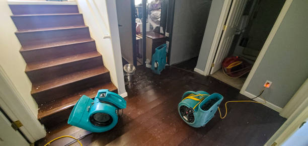 Best Sewage cleanup and water damage restoration  in Cold Spring, MN