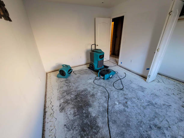 Best Residential water damage restoration  in Cold Spring, MN
