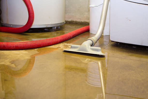 Best Water damage restoration near me  in Cold Spring, MN