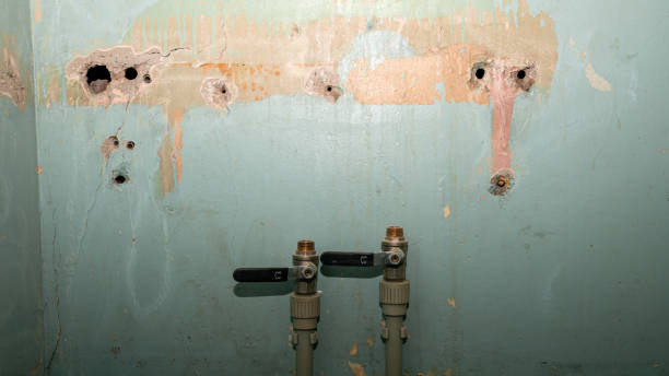 Best Water damage restoration company  in Cold Spring, MN