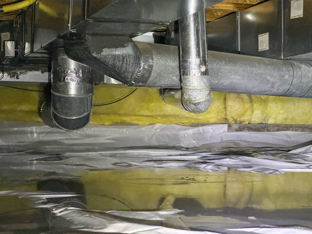 Best Carpet water damage restoration  in Cold Spring, MN