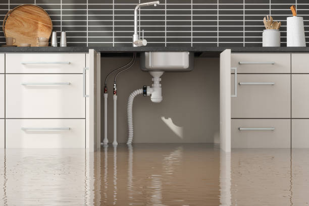 Best Water damage contractors near me  in Cold Spring, MN