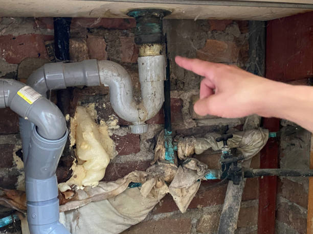 Best Basement water damage restoration  in Cold Spring, MN