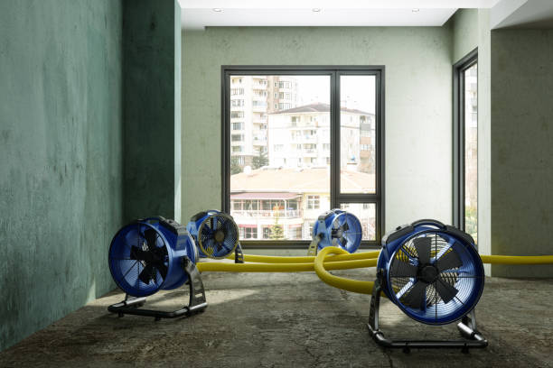 Best Flood restoration services  in Cold Spring, MN